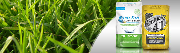  Infinity Lawn & Garden Grass Seed Products