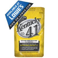 Kentucky 41